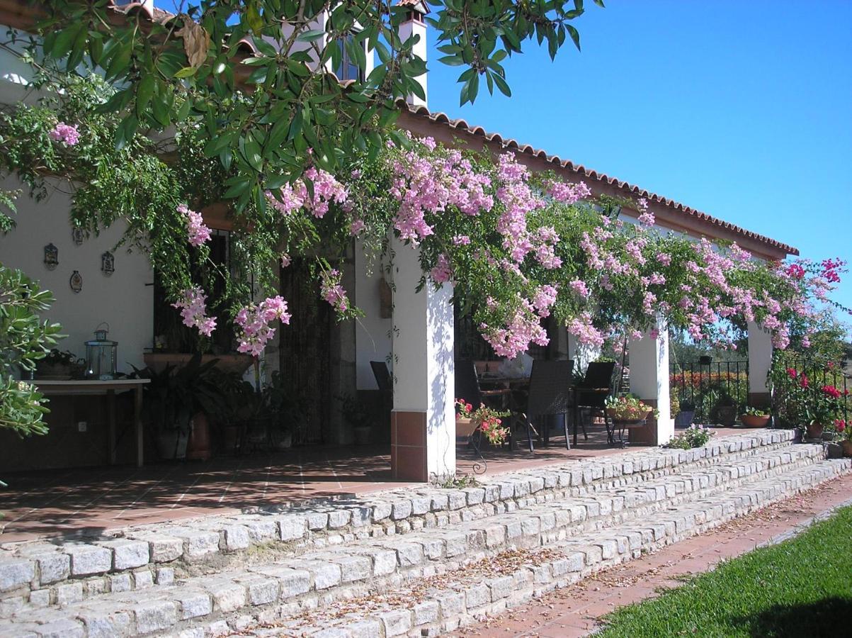 Casa Rural "El Carrasca" El Carrascalejo Exterior photo